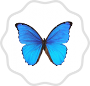 logo Le Papillon Bleu