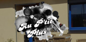 logo Au P'tit Plus