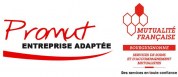logo Promut Entreprise Adaptée
