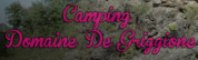 LOGO CAMPING DOMAINE DE GRIGGIONE
